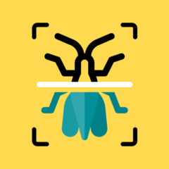 insekten-scanner-app-ico.png insekten-scanner-app-ico.png